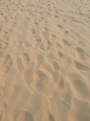 foot step in sand desert of muine veitnam