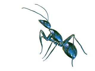 Beautiful glass ant on a white background