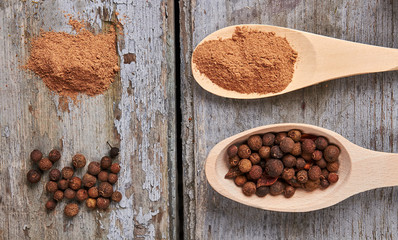 Pepper and cinnamon in a wooden spoons.