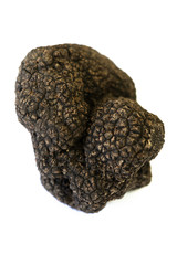 Truffle Tuber melanosporum mushroom