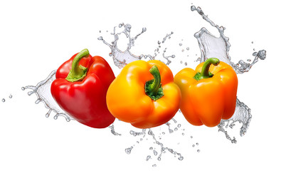 Water splash and vegetables isolated on white backgroud. Fresh bell pepper