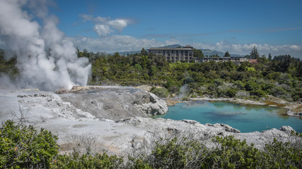 Geysir bei Rotorua in Neuseeland