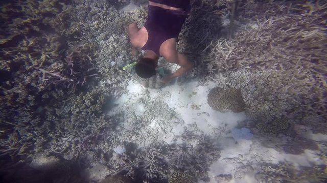 FJ 142 Indigenous Fijian man during a dive trip to a Giant clams