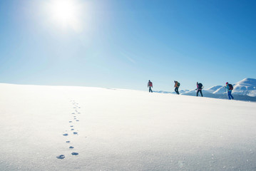 group travelers  with backpacks in the mountains, teamwork, sports, lifestyle concept
