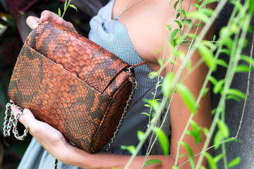 Stylish fashion girl, beautiful young woman posing with luxury snakeskin python handbag. Tropical island Bali, Indonesia.