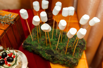 Wedding Candy Bar Forest style