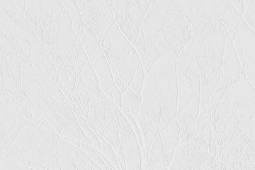white background texture with branches