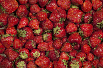 Red, ripe, sweet, fragrant strawberries. Summer Fruits.