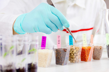 Scientist testing gmo plants and seeds in biological laboratory 