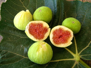 Feigen