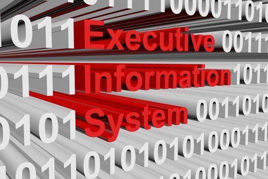 executive information system in the form of binary code, 3D illustration