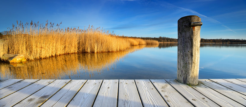Stiller See mit Schilf im Morgenlicht, Holzsteg mit Raureif bedeckt