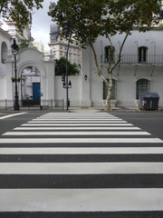 zebra sign on road buenos aires