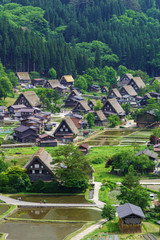 新緑の白川郷 Shirakawago