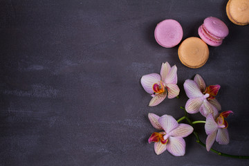 Orchids and cake macaron or macaroon on gray background from above. Flat lay, top view. Flower and cookie still life. Pastel colors, vintage card with copy space