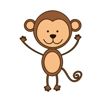 colorful picture cute monkey animal vector illustration