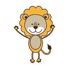 colorful picture cute lion animal vector illustration