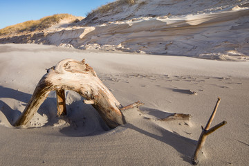 Bright, wide and white polish beach in Leba. Baltic sea and its incredible beauty. Sandy dunes in...