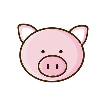 colorful picture face cute pig animal vector illustration