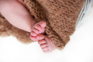 Legs newborn baby from under knitted blankets.