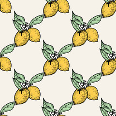 Seamless pattern of lemons