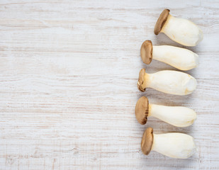 Copy Space of Eryngii Edible Mushrooms