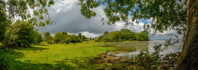 Safe Harbour, Lough Ree, County Roscommon