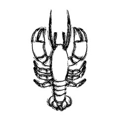 monochrome blurred line contour with lobster vector illustration