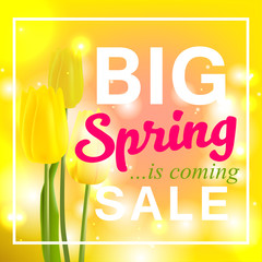 Spring is coming with Big sale, spring flower yellow tulip.