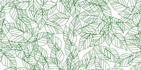 Papier peint Vert feuilles vertes sans soudure