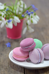 traditional french colorful macarons