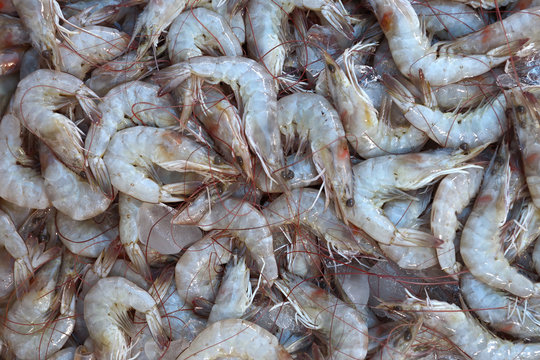 raw shrimps background