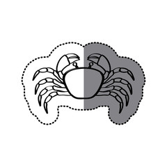 sticker monochrome line contour with crab vector illustration