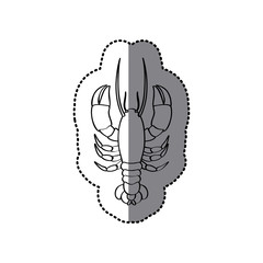 sticker monochrome line contour with lobster vector illustration