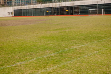 Football field lawn landscape