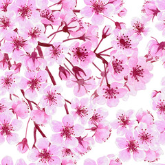 Watercolor seamless pattern made of cherry blossom branches. Element for design.