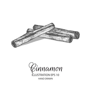 Cinnamon stick hand drawn illustration by ink and pen sketch. Isolated vector elements design for herb and spice products and health care goods.