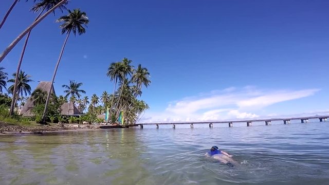 FJ 147 Woman snorkeling in a tropical resort in Fiji