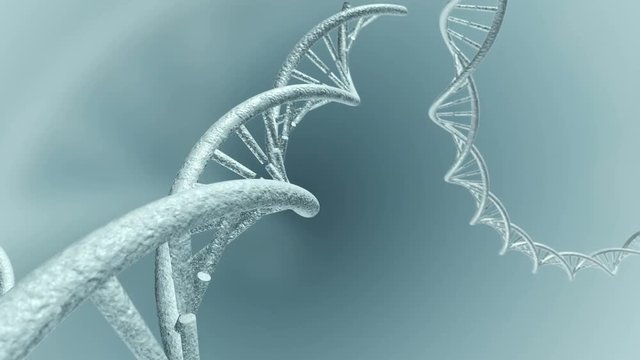 Animated travel of genetic DNA code strands. 3D rendering 4K