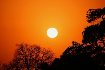 Sonnenuntergang in S&uuml;dafrika