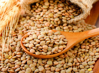 lentils in wood spoon