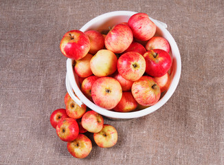 bucket with red apples collected and lying next to a pile of apples.