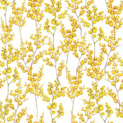 Watercolor hand drawn seamless pattern with spring tender flowers - yellow mimosa on the white background