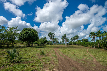 Fototapeta na wymiar Tropical landscape of Dominican Republic