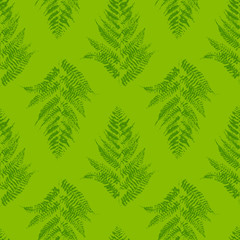 Fototapeta na wymiar Seamless pattern with fern leaves