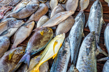 Fresh raw fish at market