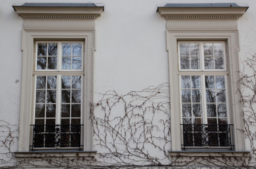 Glass window in the facade of an old house framed dry ivy