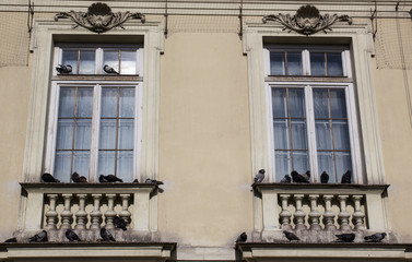 Fototapeta na wymiar Glass window in the facade of an old house with pigeons on the balcony