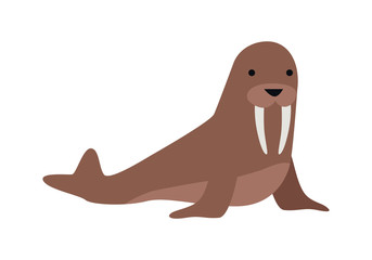 Walrus Vector Illustration in Flat Design