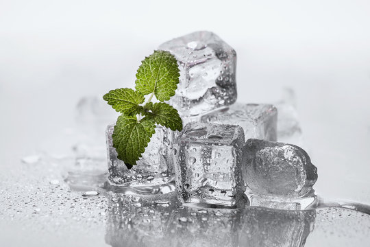 Ice cubes on the shiny surface. The ice is melting. The droplets of water. A sprig of mint. Studio light.